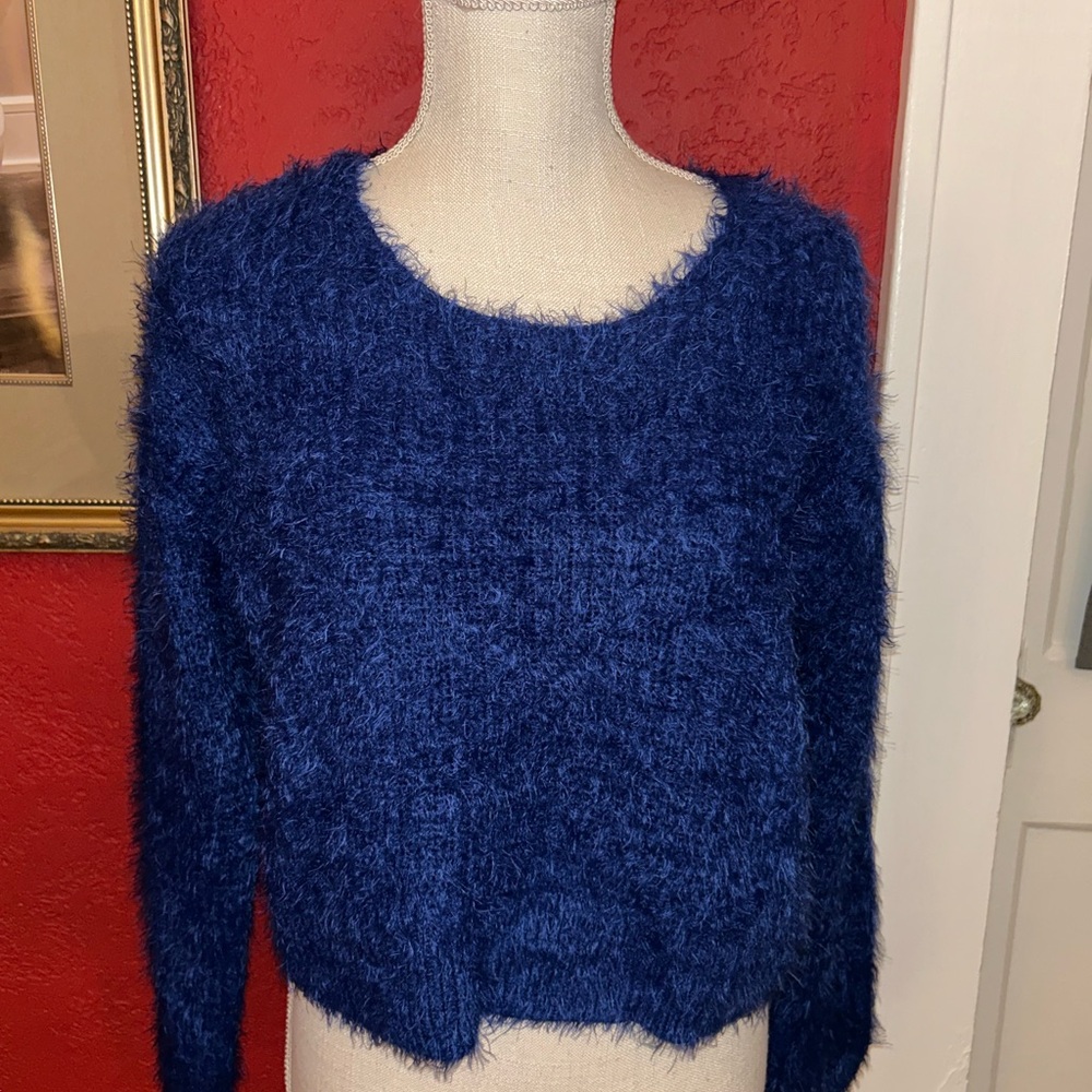 Women's Fuzzy Blue Sweater size small never worn
